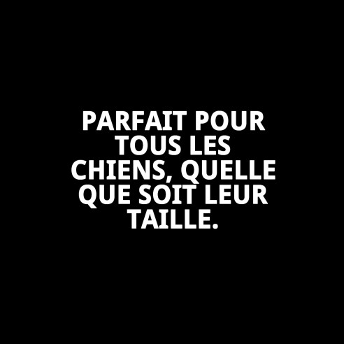 Jouet pour Chien Nuage 10 cm - Amusement Garanti