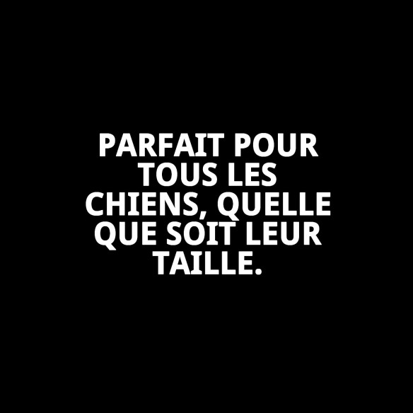 Jouet pour Chien Nuage 10 cm - Amusement Garanti