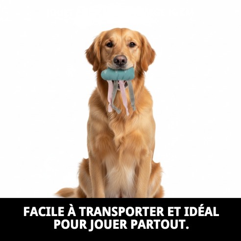 Jouet pour Chien Nuage 10 cm - Amusement Garanti