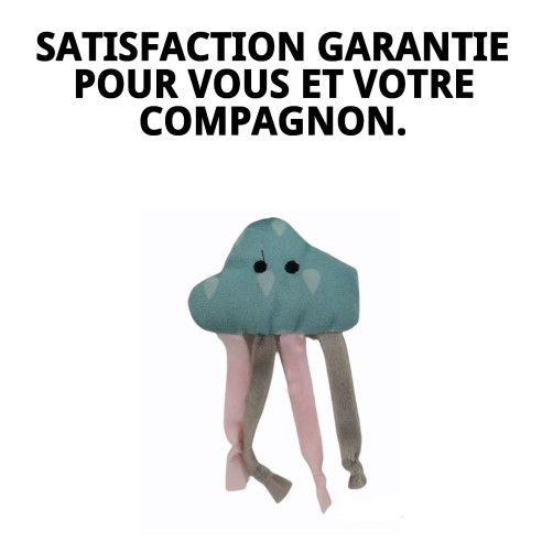 Jouet pour Chien Nuage 10 cm - Amusement Garanti