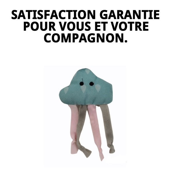 Jouet pour Chien Nuage 10 cm - Amusement Garanti