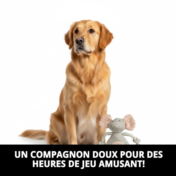 Peluche pour Chien Dumbo 25 cm - Compagnon Idéal pour Jouer