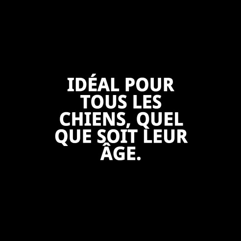 Peluche pour Chien Dumbo 25 cm - Compagnon Idéal pour Jouer