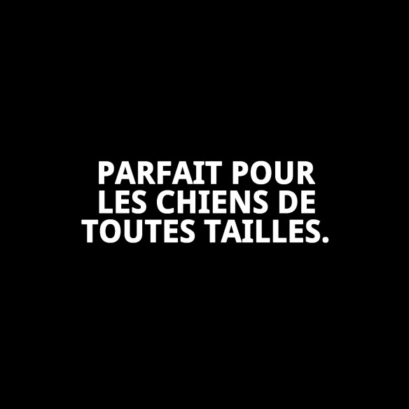 Peluche pour Chien Lapin 26 cm - Compagnon Idéal pour votre Animal de Compagnie