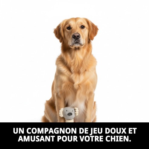 Peluche Ourson pour Chiens de 20 cm | Jouet Idéal et Sûr