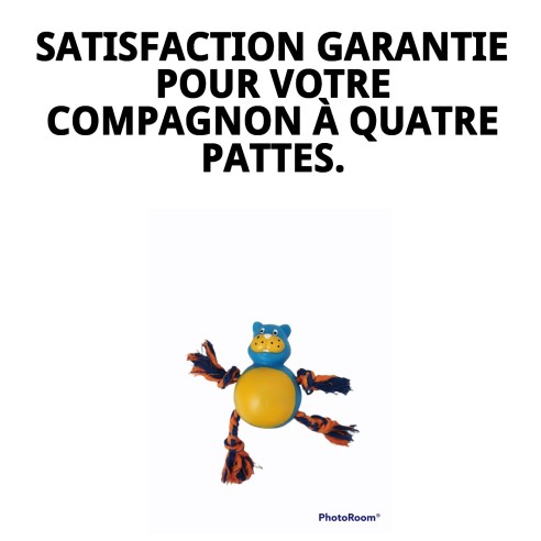 Jouet à Mordre Hippopotame pour Chiens - 21 cm Amusant