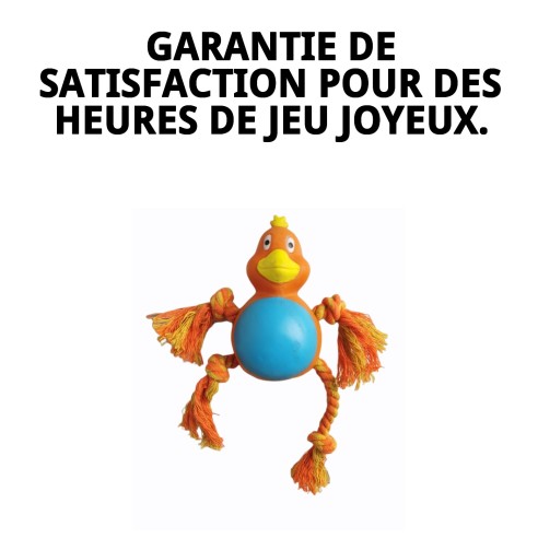 Jouet à Mordre pour Chien Poulet 21 cm - Amusement Garanti