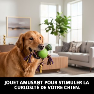 Jouet à Mordre pour Chien Crocodile 21 cm - Amusement Garanti 2