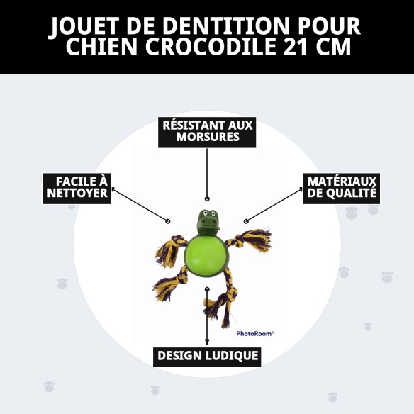 Jouet à Mordre pour Chien Crocodile 21 cm - Amusement Garanti