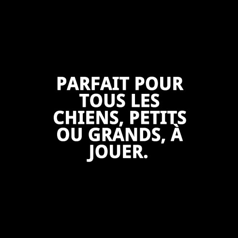 Peluche Chien 26 cm - Compagnon Idéal et Cadeau Parfait