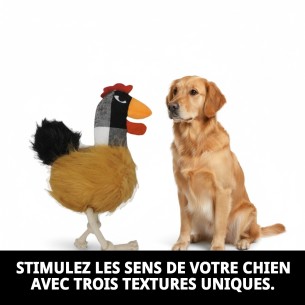 Peluches pour Chiens Corral 34 cm - Trois Textures Amusantes 2