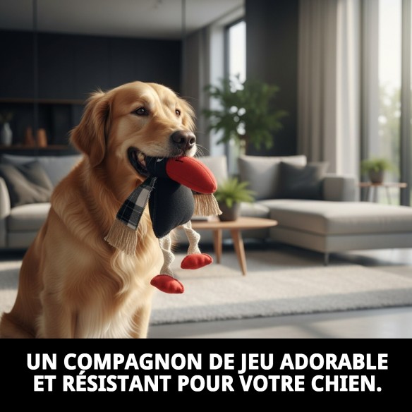 Peluche Tucan Crazy pour Chiens - 33 cm de Plaisir