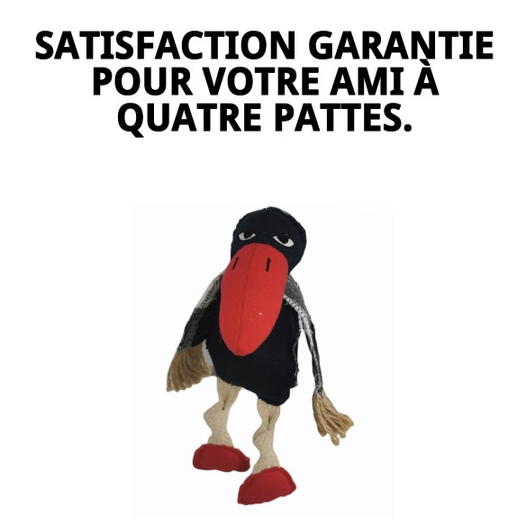 Peluche Tucan Crazy pour Chiens - 33 cm de Plaisir