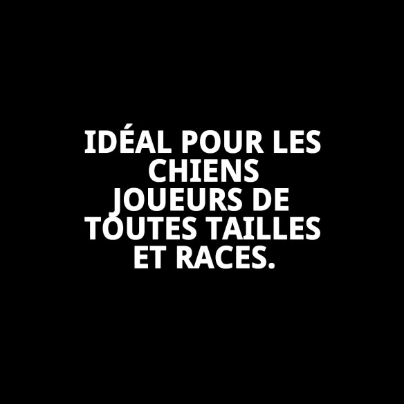 Peluches requin pour chiens 37 cm | Amusement garanti