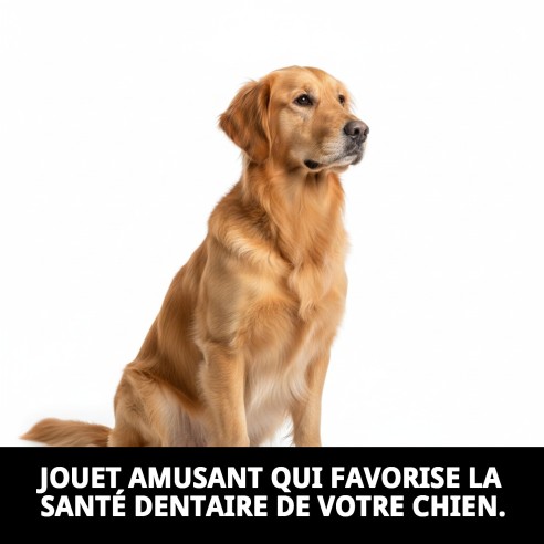 Lanceur Étoile Dentaire TPR 45cm : Joue et Prends Soin de Ton Animal de Compagnie