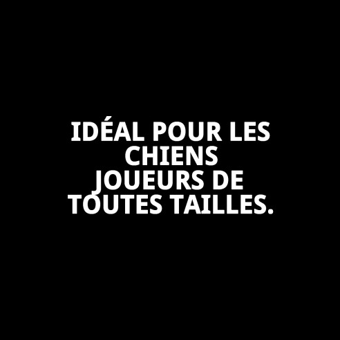 Lanceur Étoile Dentaire TPR 45cm : Joue et Prends Soin de Ton Animal de Compagnie
