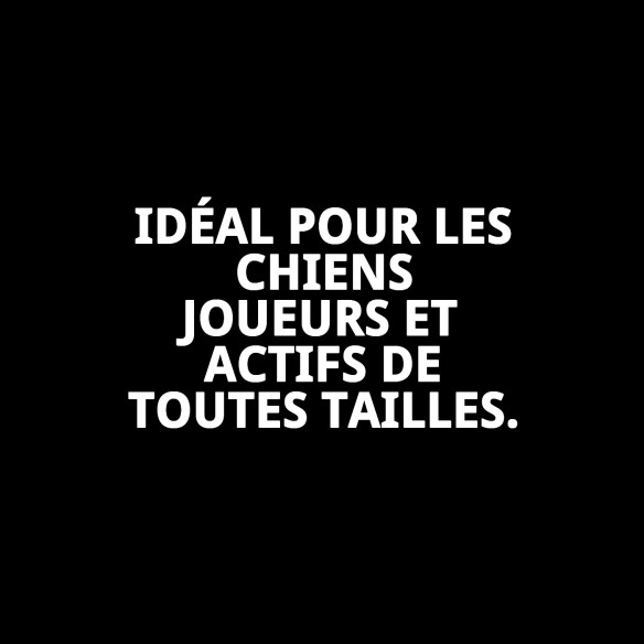 Mordeur en Silicone et Coton pour Animaux - 25 cm