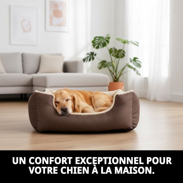Cratère Marron T-1 pour Chiens - Nouvelle Collection Moly