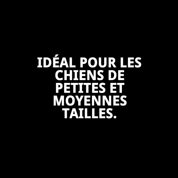 Cratère Marron T-1 pour Chiens - Nouvelle Collection Moly