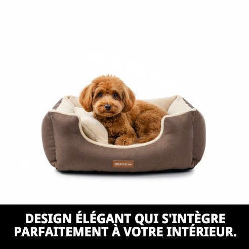 Cratère Marron T-1 pour Chiens - Nouvelle Collection Moly