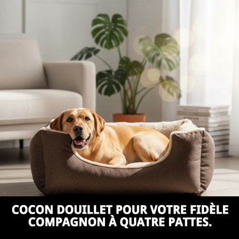 Lit Doux Marron T-3 pour Chiens | Confort en Moly