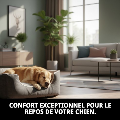 Lit gris T-4 pour chiens | Nouvelle collection Moly