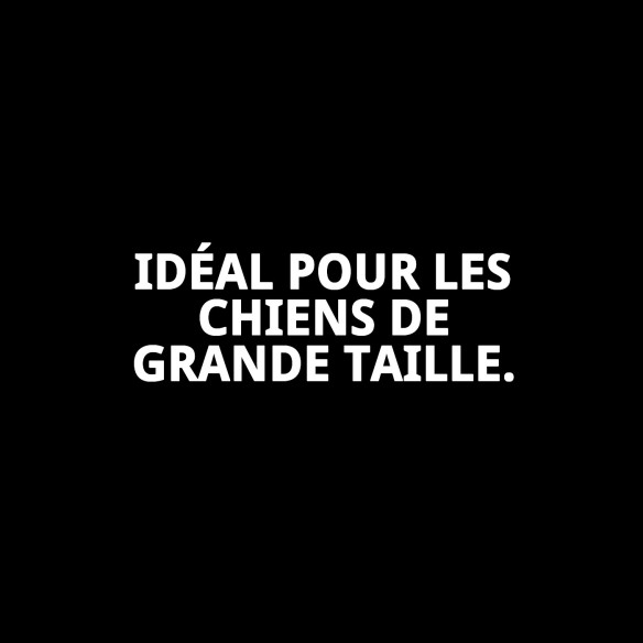 Lit gris T-4 pour chiens | Nouvelle collection Moly