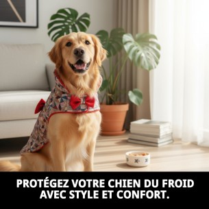 Manteau Damasco T-L pour chien | Qualité et style Moly 2