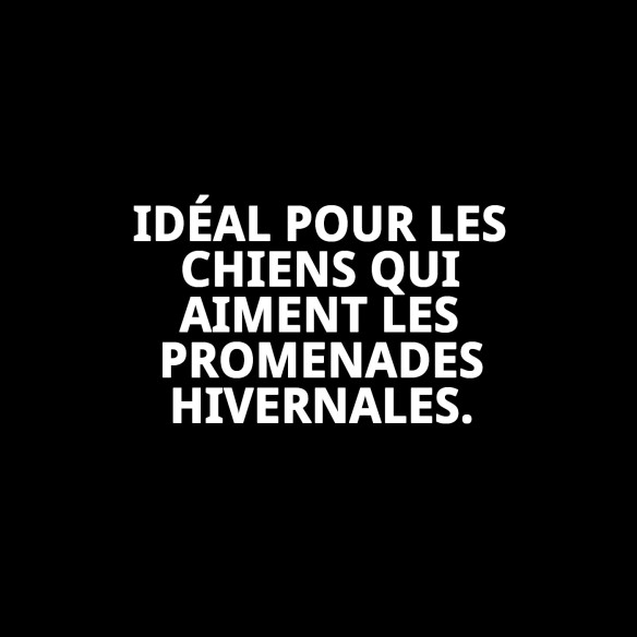 Manteau Damasco T-L pour chien | Qualité et style Moly