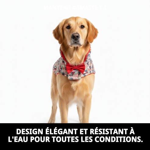 Manteau Damasco T-L pour chien | Qualité et style Moly