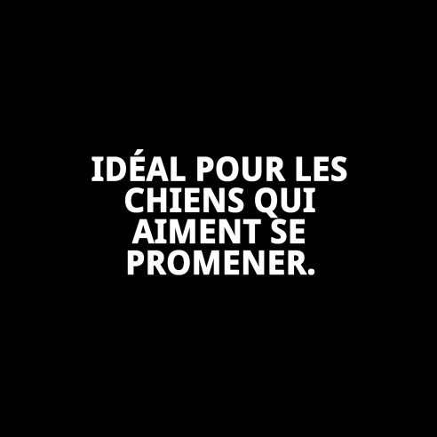 Manteau Damasco pour Chien Taille S - Qualité et Style