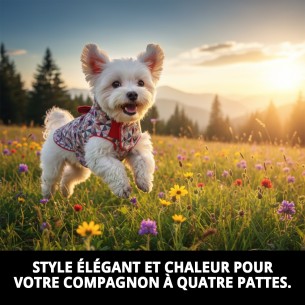 Manteau Damasco T-XXS pour chien - Style et chaleur Moly 2