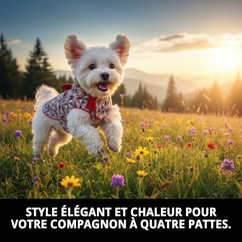 Manteau Damasco T-XXS pour chien - Style et chaleur Moly