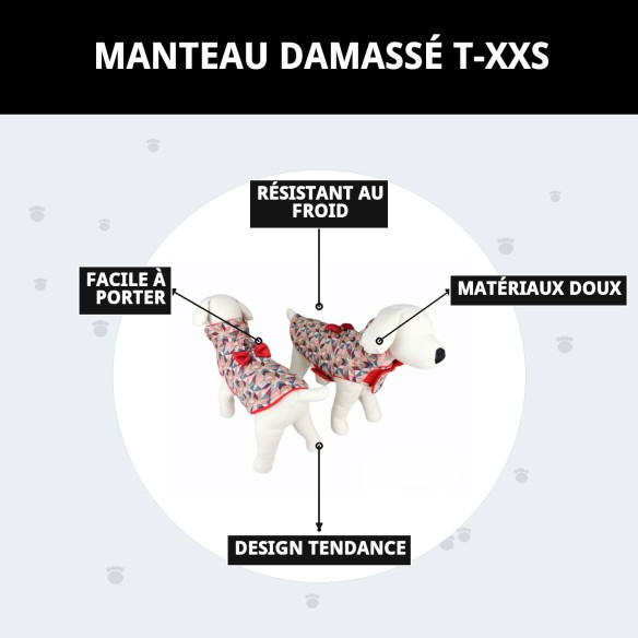 Manteau Damasco T-XXS pour chien - Style et chaleur Moly