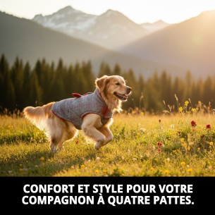 Manteau Enzo T-L : Style et Confort pour Votre Animal de Compagnie 2