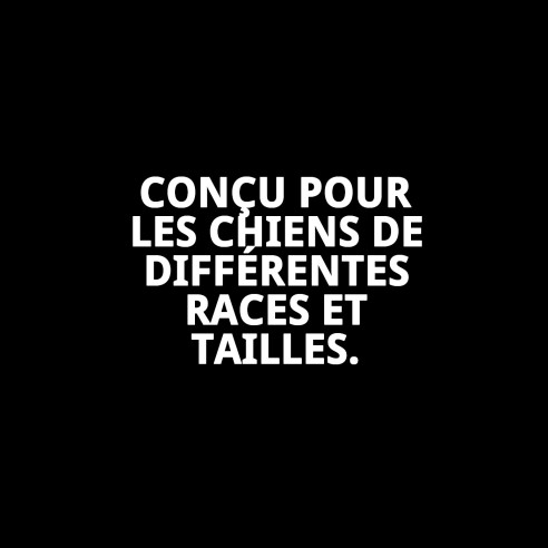 Manteau Enzo T-M : Style et Confort pour votre Animal de Compagnie