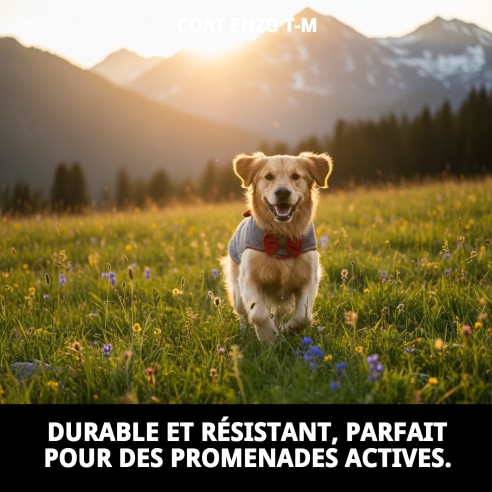 Manteau Enzo T-M : Style et Confort pour votre Animal de Compagnie