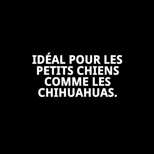 Manteau Enzo T-XXS : Style et Chaleur pour votre Animal de Compagnie