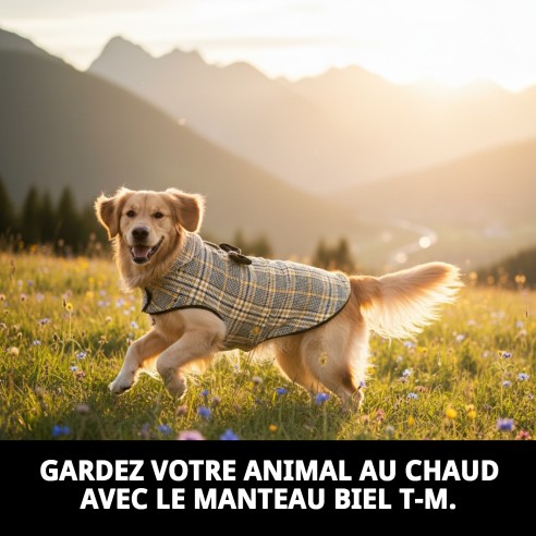 Manteau Biel T-M pour Animaux de Compagnie : Chaleur et Style 2023