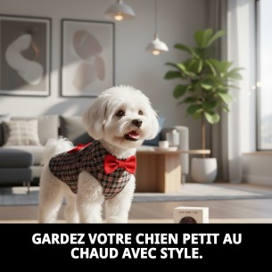 Manteau Izan T-XS pour chiens : Élégance et confort 2