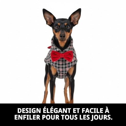 Manteau Izan T-XXS : Chaleur et Style pour Votre Animal de Compagnie