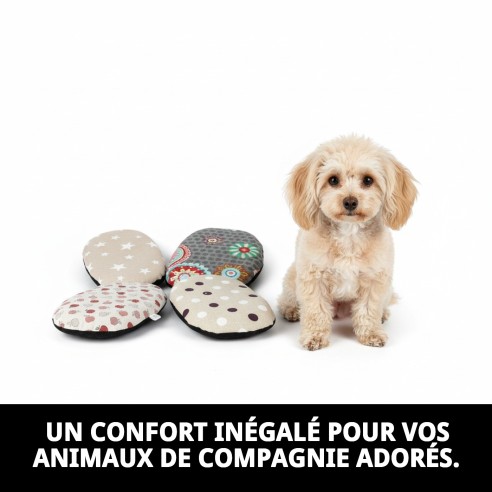 Coussin Perla Mini 38x25 cm : Confort pour votre Animal de Compagnie