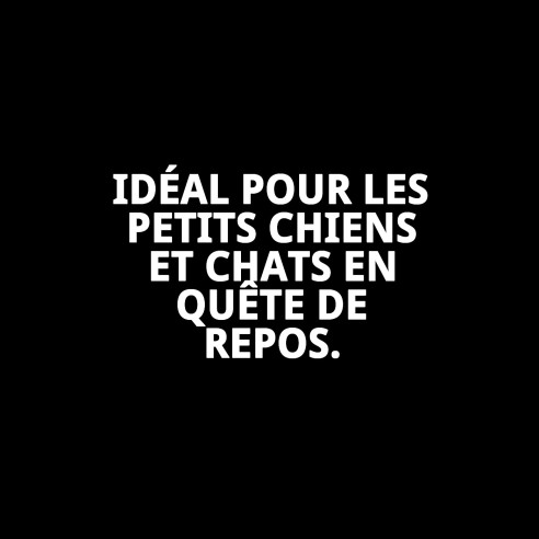 Coussin Perla Mini 38x25 cm : Confort pour votre Animal de Compagnie