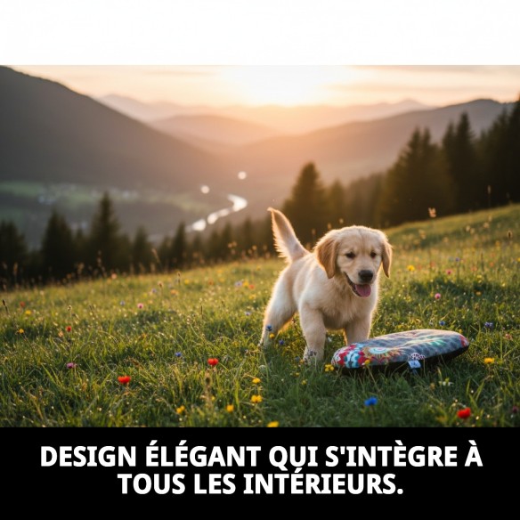 Coussin Perla Mini 38x25 cm : Confort pour votre Animal de Compagnie