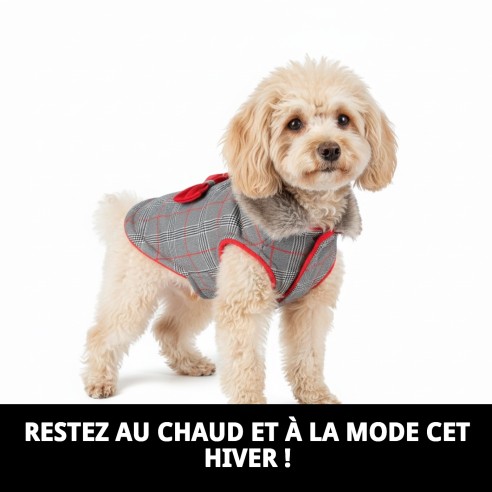Manteau Enzo T-XS pour chiens et chats, chaud et élégant.