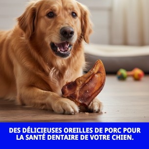 Exposeur Oreilles de Porc Déshydratées pour Chiens - 25 Unités 2