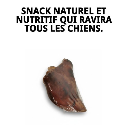 Exposeur Oreilles de Porc Déshydratées pour Chiens - 25 Unités