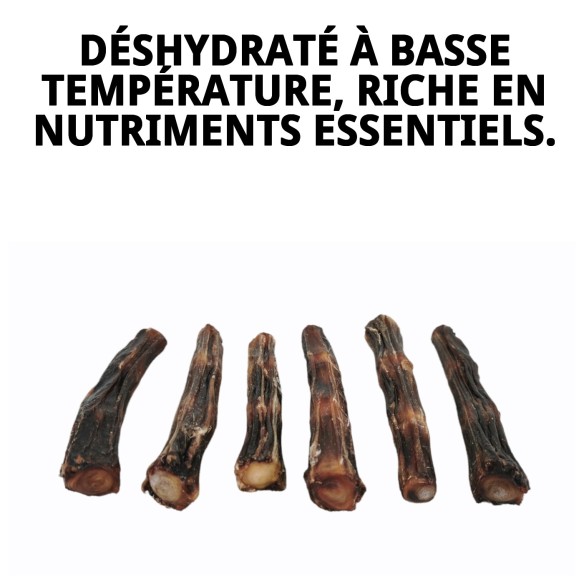 Queue de Bœuf S pour chiens 100% naturel et sain.