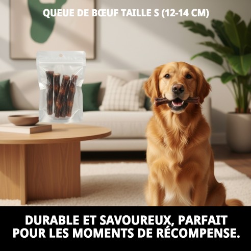 Queue de Bœuf S pour chiens 100% naturel et sain.