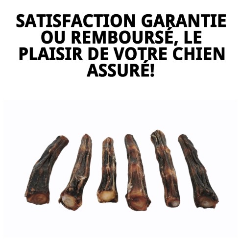 Queue de Bœuf S pour chiens 100% naturel et sain.